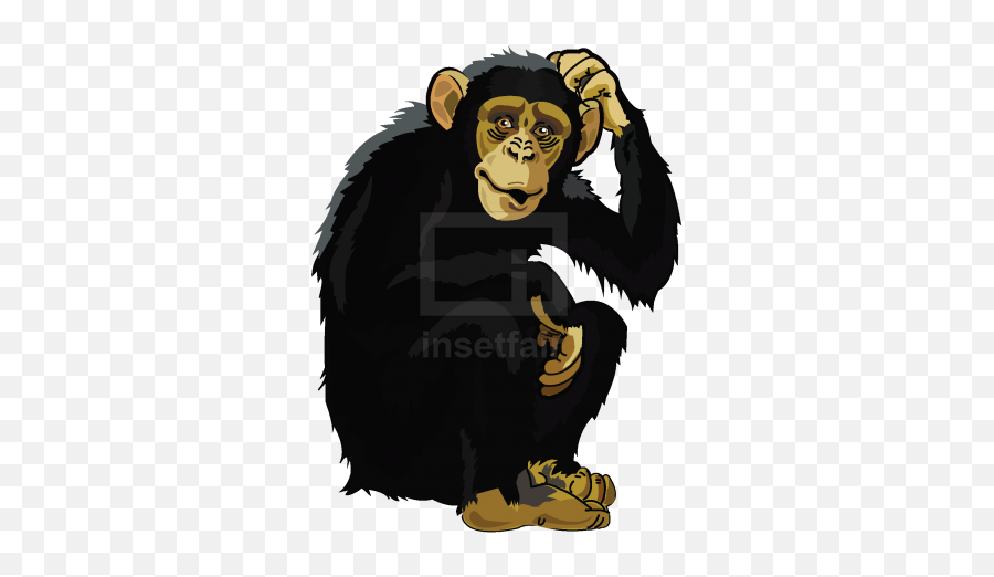 Home Insetfair - Chimpanzee Clipart Png,Free Png Images For Commercial Use