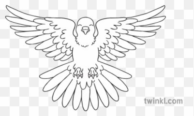 Dove Flying White Bird Peace Symbol Ks1 Black And - Snapper And png