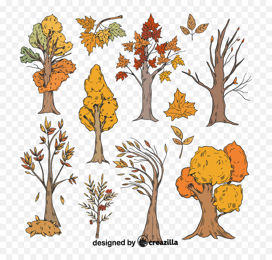 Set Of Fall Trees Vector - Clip Art Png,Tree Vector Png