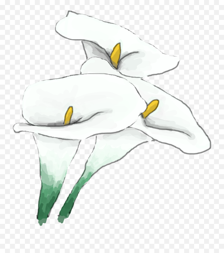 Kristinbelldesignwhitelily - Lily Png,White Lily Png