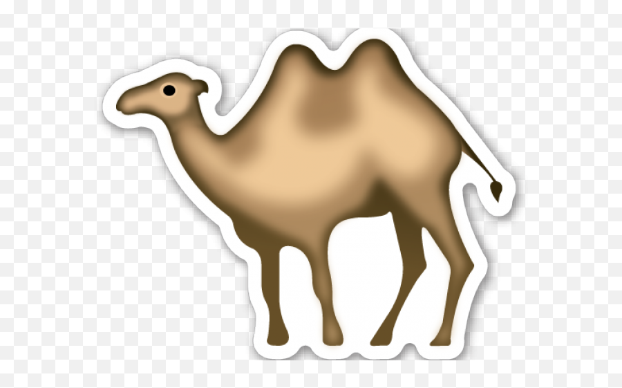 Camel Clipart Bactrian - Camel With No Background Two Humped Camel Emoji Png,Camel Transparent Background