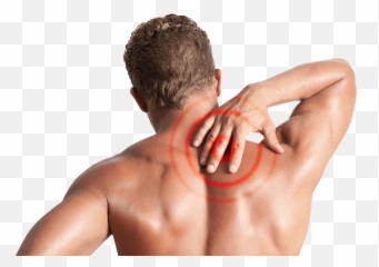 Newsarticles U2014 Pa Pain U0026 Rehab Png