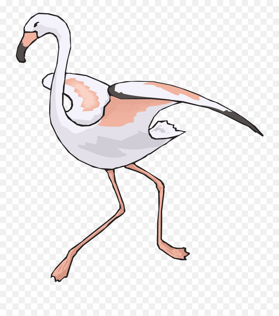 Download Running Flamingo Svg Vector Clip Art Svg Png Flamingo Clipart Png Free Transparent Png Images Pngaaa Com