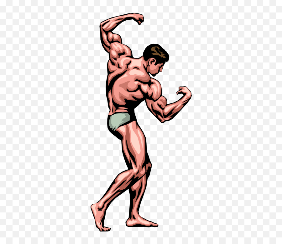 Bodybuilder Poses Image Illustration - Body Builder Pose Vector Png,Muscle Man Png