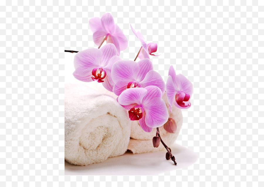 Home - Towel And Flower Png,Spa Png