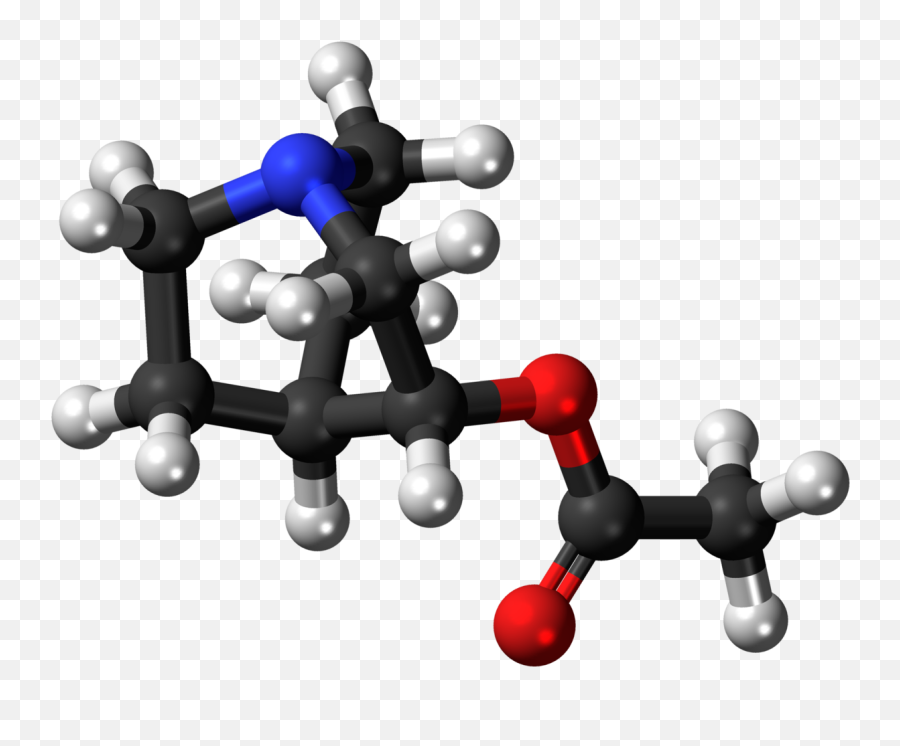 File1280px - Aceclidine 3d Ballpng Wikidoc Transparent Chemical Structure Clipart,3d Sphere Png