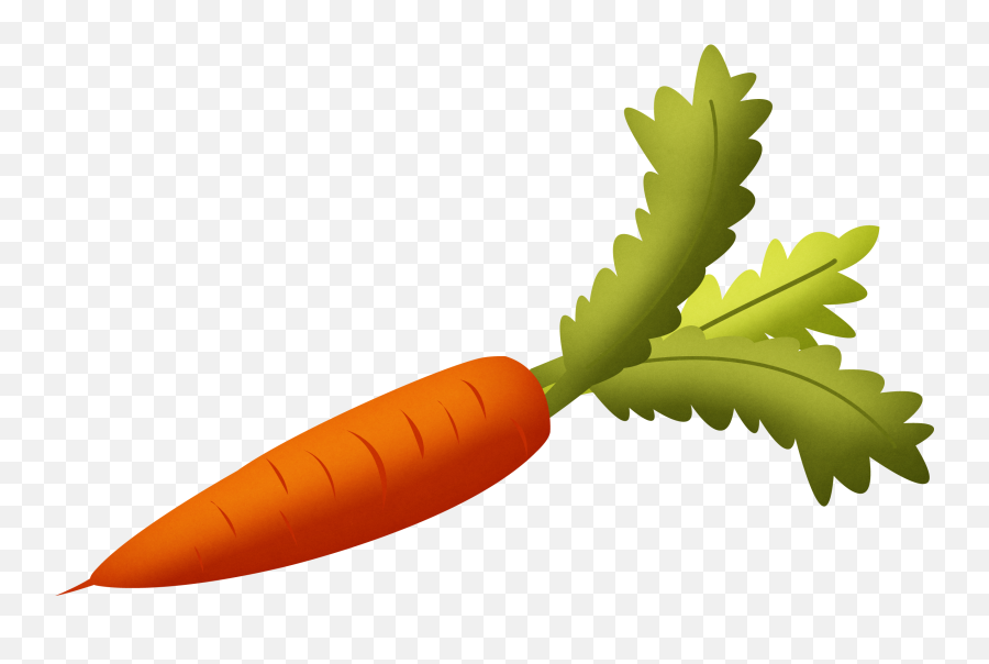 Carrot Clipart No Background - Carrot Clipart Transparent Png,Vegetables Transparent Background