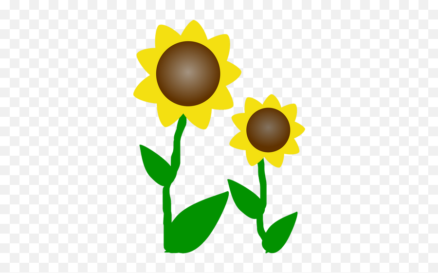 Sunflowers Sun Flowers Plant Transparent Png Images U2013 Free - Clip Art Flowers,Transparent Sunflowers