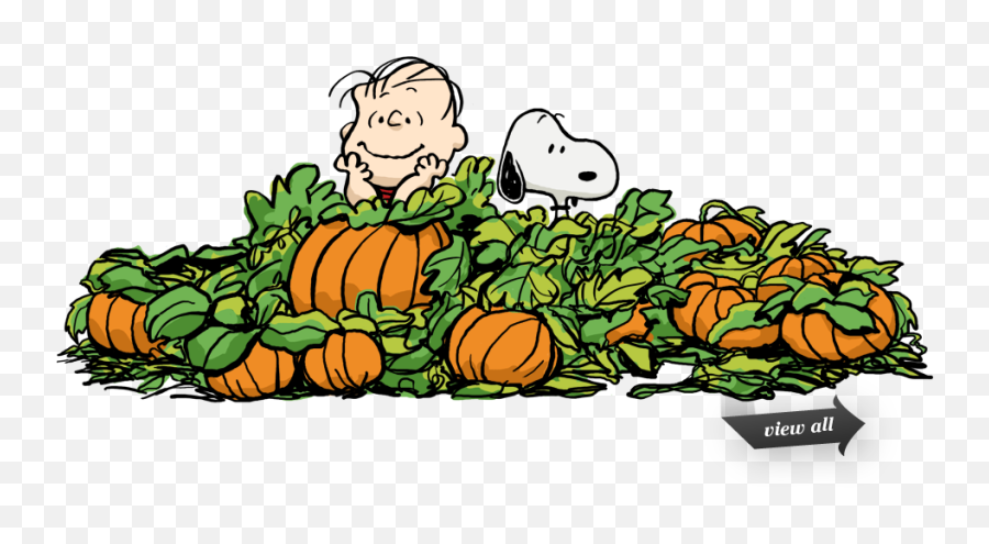 Pumpkin Patch Png Clipart - Linus In The Pumpkin Patch,Pumpkin Clipart Png