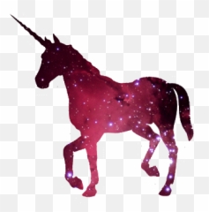 Animated Gif About In Tumblr Transparent Png By Bierberr - Unicorn No Background Gif,Tumblr Transparent Png