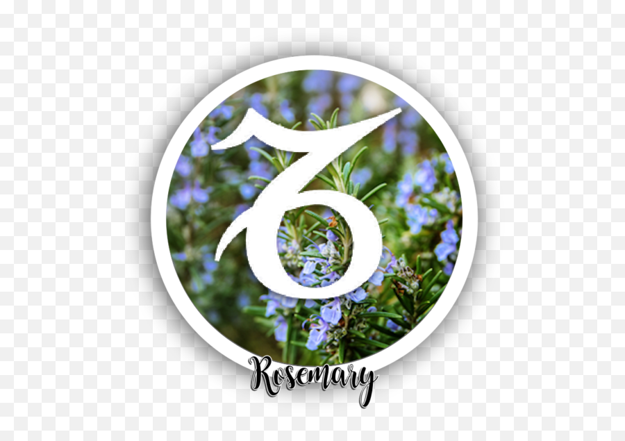 Astrology Moons U0026 Eclipses U2013 Intuitive Home Solutions - Bellflowers Png,Lunar Goddess Diana Icon