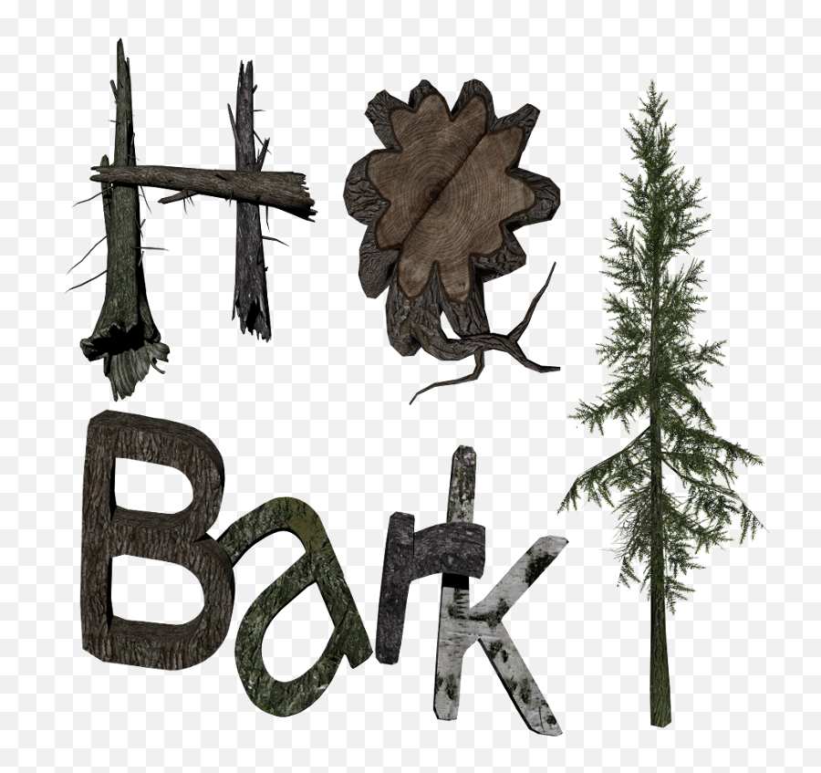 Tree Bark Texture Png - Premium Membership Donations White Pine,Tree Bark Png