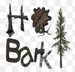 Tree Bark Texture Png - Premium Membership Donations White Pine,Tree Bark Png