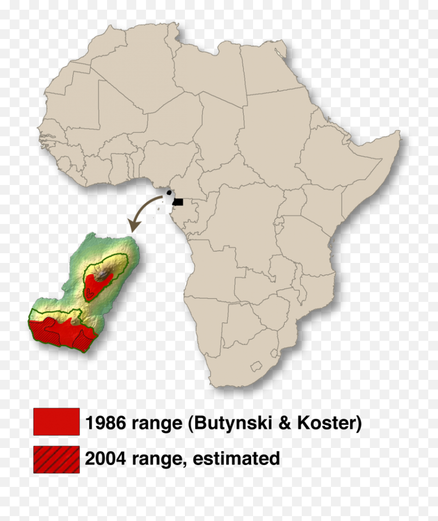 The Drill Project - Atlas Png,Drill Png