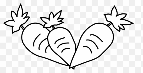 Download Lettuce Black And White Images Hd Image Clipart Png - Drawing Black And White Vegetable,Lettuce Png