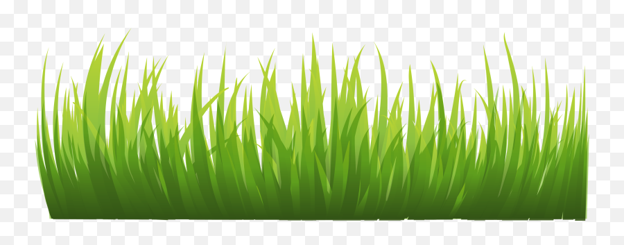 Grass Background Png Picture - Grass Png Background Hd,Tall Grass Png