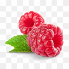Raspberry Png Page - Raspberry Png,Raspberries Png