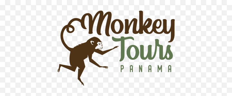 Monkey - Illustration Png,Monkey Logo