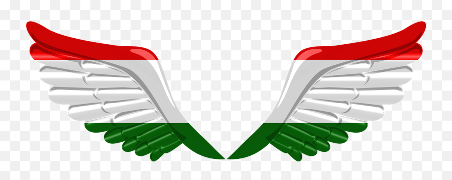 Flag Wings Tajikistan - Free Image On Pixabay Indian Flag Wings Png,Wings Logo Png