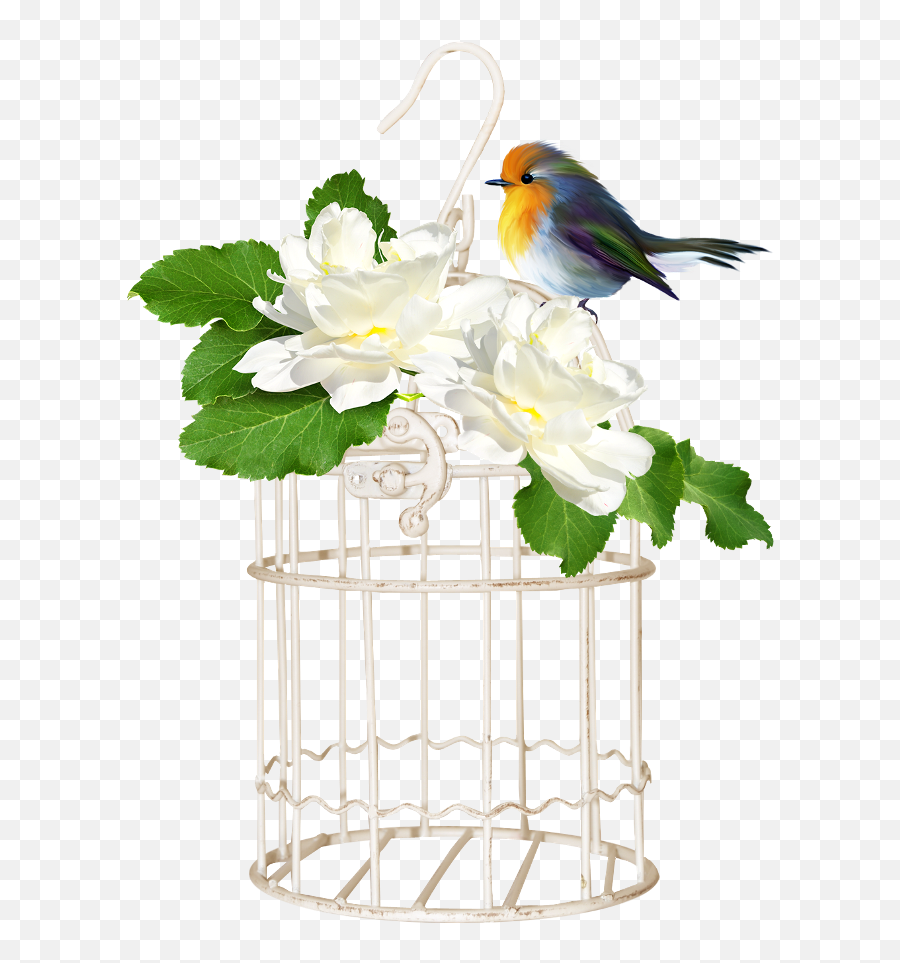 Bird Cage - Cage 650x950 Png Clipart Download,Bird Cage Png