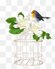 Bird Cage - 650x950 Png Clipart Download
