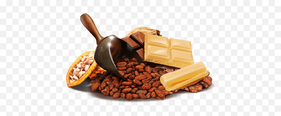 Cacao Png - Chocolates De Cacao Png,Cacao Png