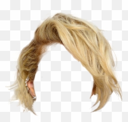 Hair Wig Png