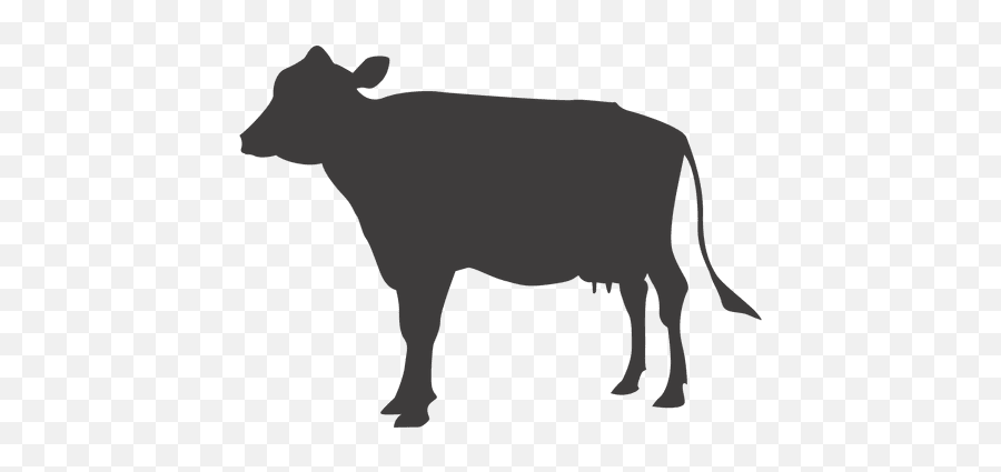 Cattle Animal Track - Cows Vector Png Download 512512 Cow Vector,Cows Png