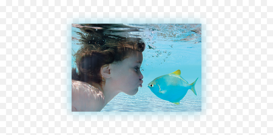 Swimming Pool Water Treatment And - Swimming In The Ocean Kids Png,Pool Water Png