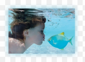 Swimming Pool Water Treatment And - Swimming In The Ocean Kids Png,Pool Water Png