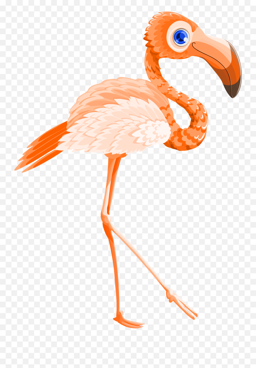 Flamingo Bird Vector Png Transparent Image - Pngpix Vector Graphics,Flamingo Clipart Png