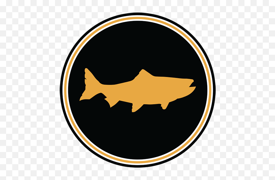 Cropped - Bigfishsiteicon5125121png U2013 Big Fish Cider Co Pangasius Hypophthalmus,Blog Icon Png