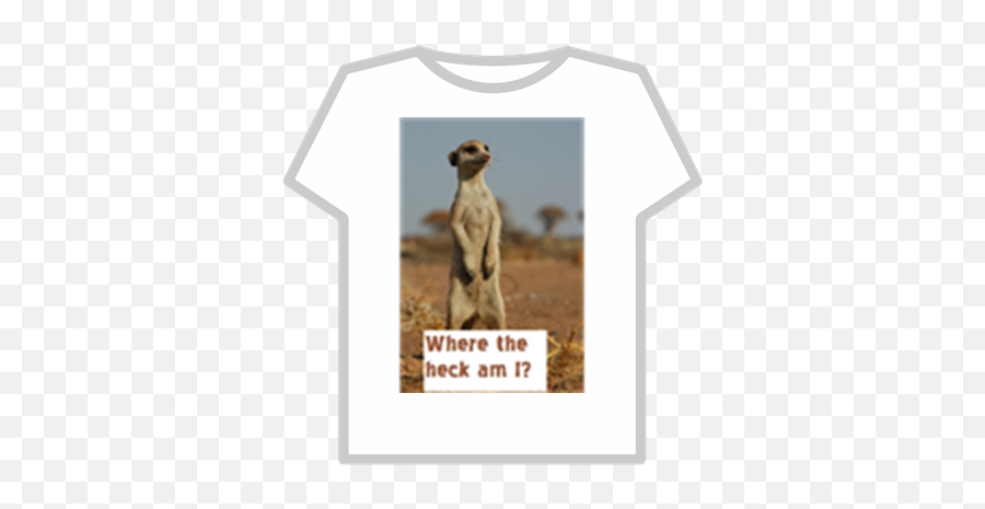 Meerkat Madness - Roblox Denis Roblox T Shirt Png,Meerkat Png