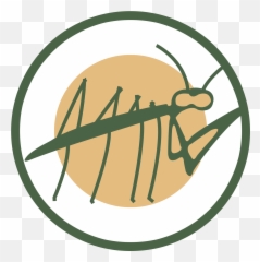 Locust Valley Karate Club The Kid Wiki Fandom - Locust Valley Karate Club Png,Karate Logo