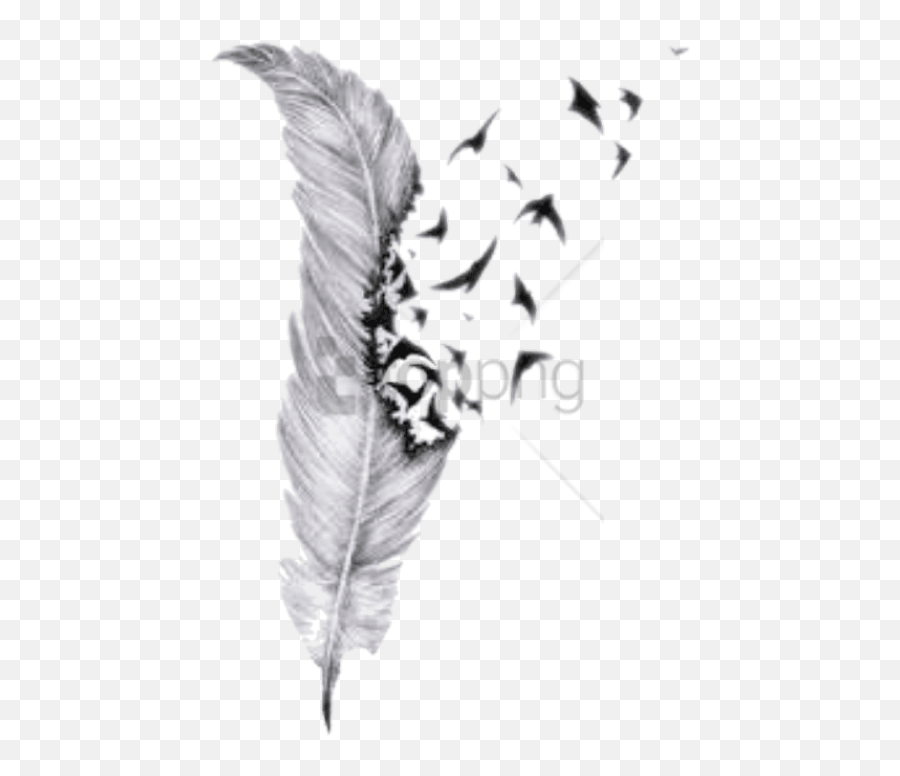 Pencil Feather Drawing Transparent Png - Joseph Morgan Feather Tattoo,Feather Drawing Png