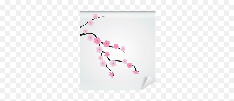 Vector Cherry Blossom Branch Wall Mural U2022 Pixers We Live To Change - Cherry Blossom Png,Cherry Blossom Branch Png