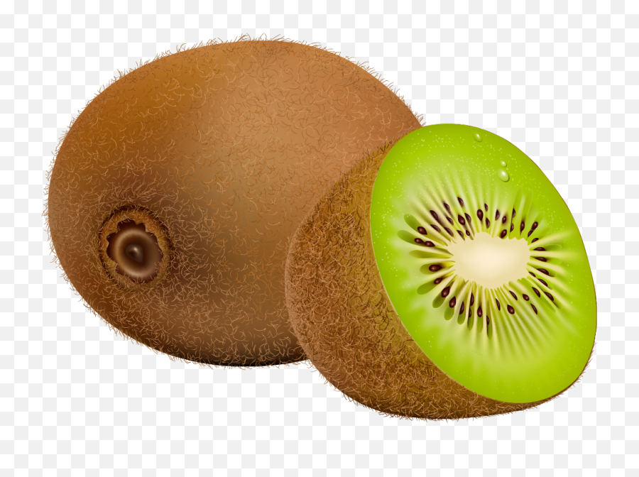 Kiwi Fruit Png Clipart - Clip Art Kiwi Fruit,Fruits Png