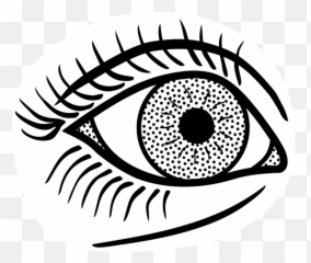 Monochrome Photographyartworkplant Png Clipart - Royalty Eye Line