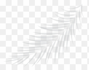 Our Story - Vertical png