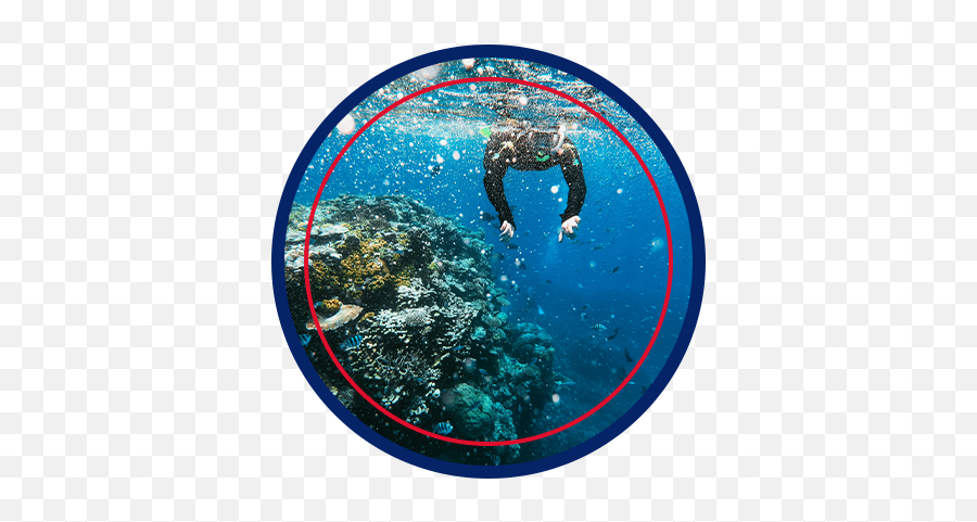 Australian Sports Tour - Take Your Team On An Immersive Florida Scuba Diving Coral Png,Sydney Harbour Bridge Australian Icon