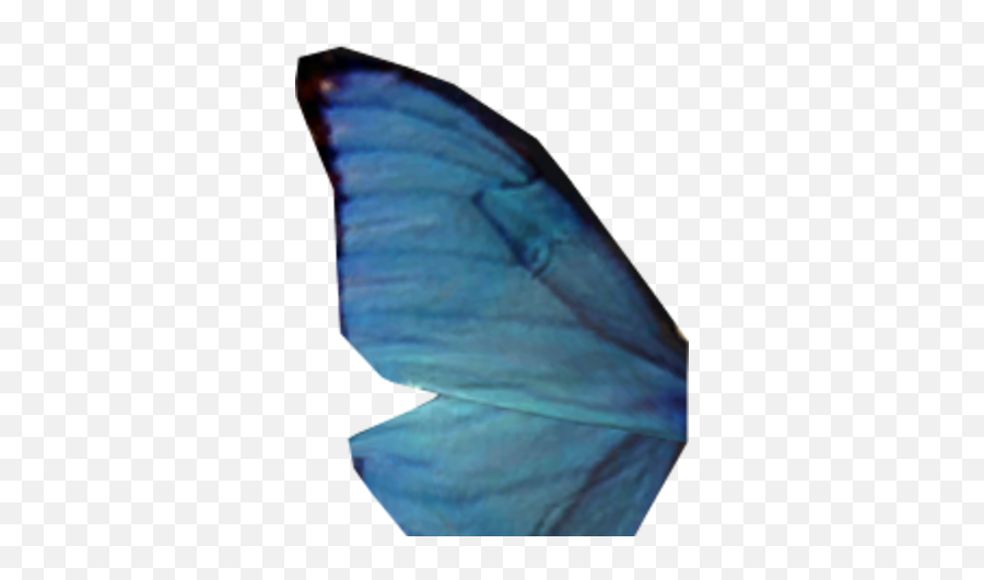 Blue Butterfly Wing Elder Scrolls Fandom - Sail Png,Blue Butterflies Png