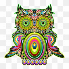 Owl Psychedelic Pop Art Steemit - Owl Psychedelic Popart Png,Psychedelic Png