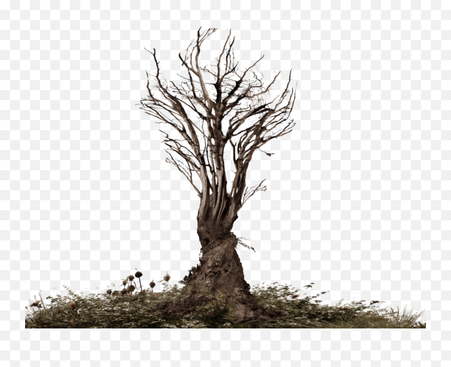 Dead Tree Png Official Psds - Tree With Root Png,Dead Grass Png