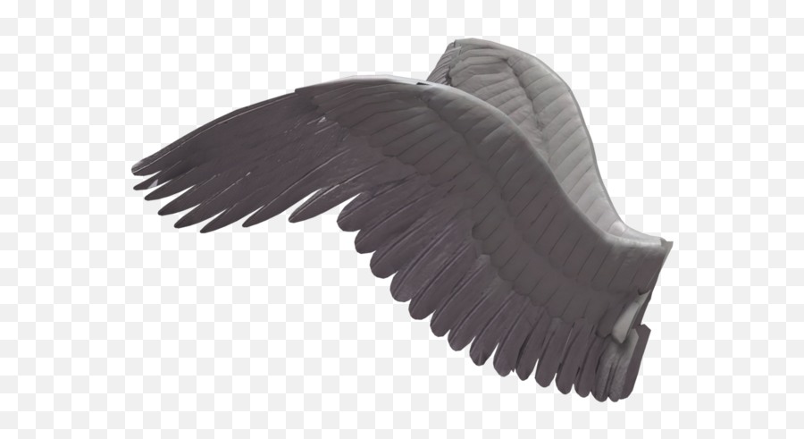 Wings Png - Wings From The Side,Wings Png Transparent