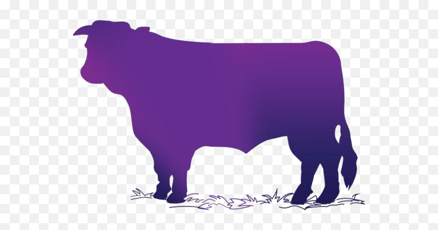 Cow Transparent Png Images - Animal Figure,Fatcow Icon
