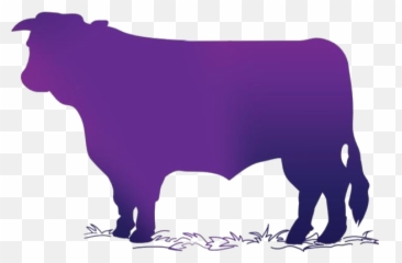 Cow Transparent Png Images - Animal Figure