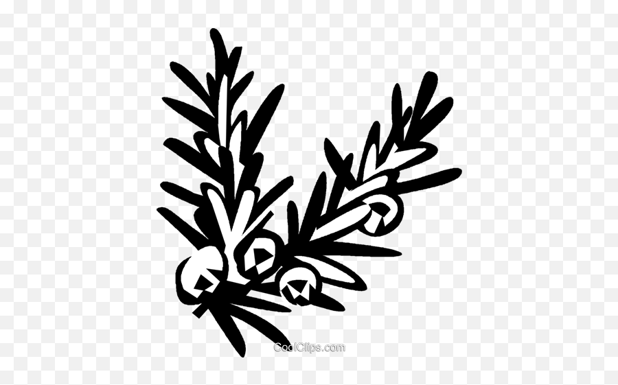 Juniper Royalty Free Vector Clip Art Illustration - Vc029310 Juniper Clipart Png,Juniper Png