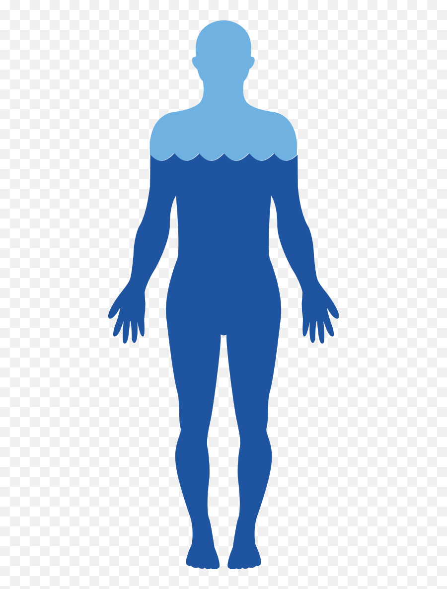 Body Free Png Image All - Human Body Water Png,Body Png