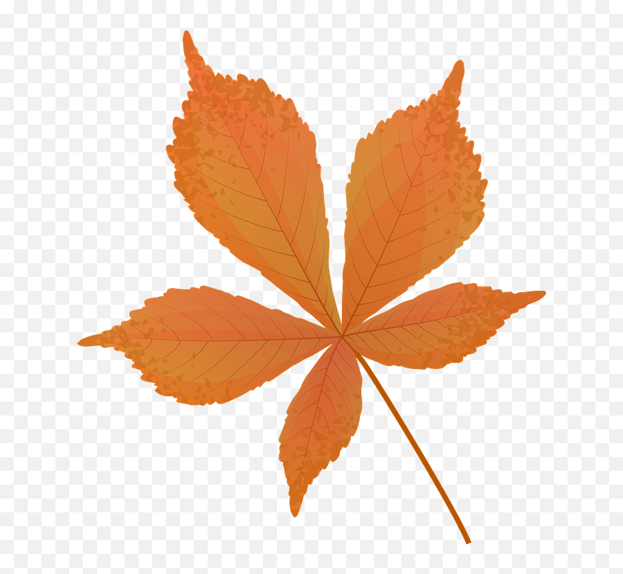Horse Chestnut Late Autumn Leaf Clipart Free Download - Autumn Horse Chestnut Leaf Png,Leaf Clipart Transparent
