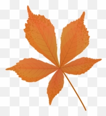 Horse Chestnut Late Autumn Leaf Clipart Free Download - Autumn Chestnut Leaf png